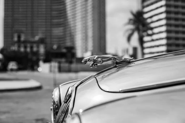 20Bets Casino Android/iOS Forrit